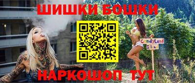 индика Пыть-Ях